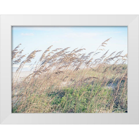 Eastern Beach Grass I White Modern Wood Framed Art Print by Bonnett, Stede
