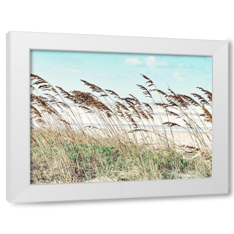 Eastern Beach Grass II White Modern Wood Framed Art Print by Bonnett, Stede