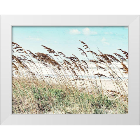Eastern Beach Grass II White Modern Wood Framed Art Print by Bonnett, Stede