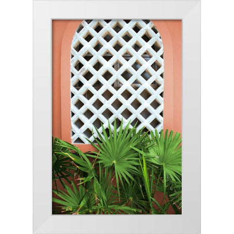 Mexican Fan Palms White Modern Wood Framed Art Print by Wilson, Kali