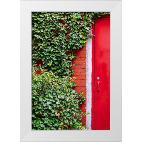 Red Garden Door White Modern Wood Framed Art Print by Bill Carson Photography