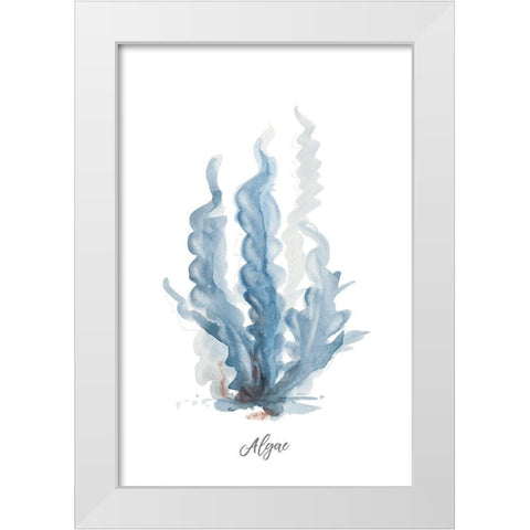 Algae White Modern Wood Framed Art Print by Pinto, Patricia