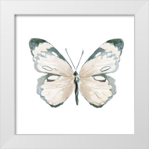 Steady Wings III White Modern Wood Framed Art Print by Pinto, Patricia