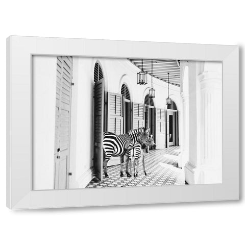 Zebra Hotel White Modern Wood Framed Art Print by Mansfield, Kathy