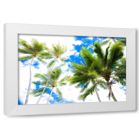 Hawaii Oahu Palms White Modern Wood Framed Art Print by Bill Carson Photography