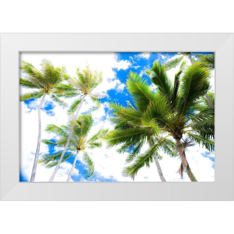 Hawaii Oahu Palms White Modern Wood Framed Art Print by Bill Carson Photography