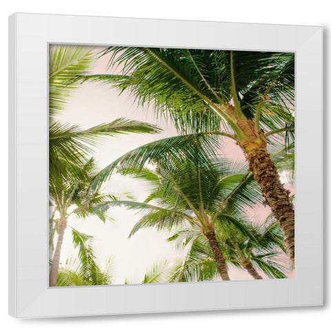 Bright Oahu Palms I White Modern Wood Framed Art Print by Bill Carson Photography