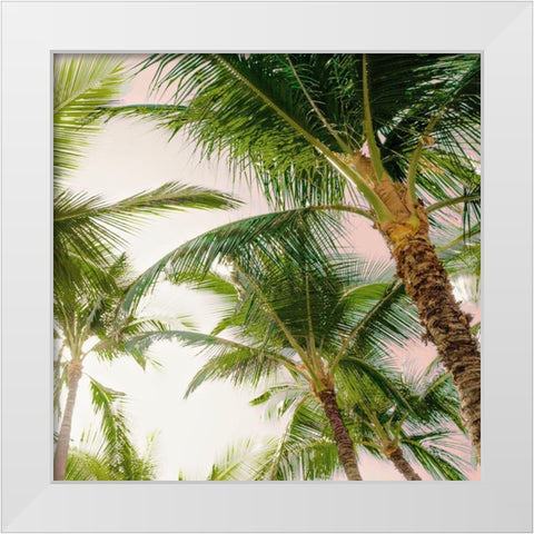 Bright Oahu Palms I White Modern Wood Framed Art Print by Bill Carson Photography