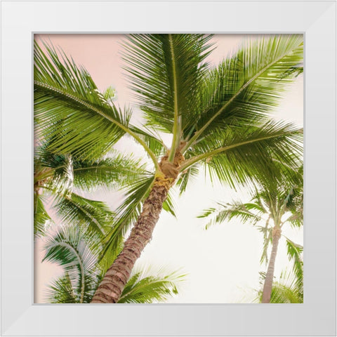 Bright Oahu Palms II White Modern Wood Framed Art Print by Bill Carson Photography
