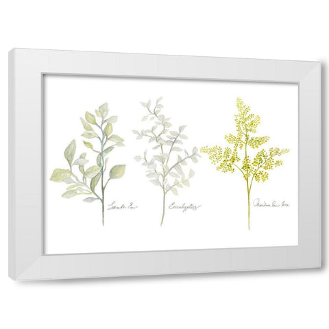 Named Ferns I White Modern Wood Framed Art Print by Gaynor, Janice