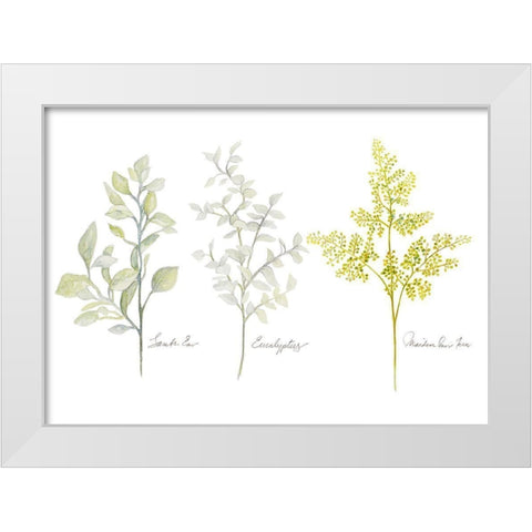 Named Ferns I White Modern Wood Framed Art Print by Gaynor, Janice