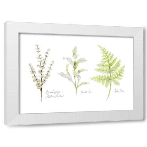 Named Ferns II White Modern Wood Framed Art Print by Gaynor, Janice