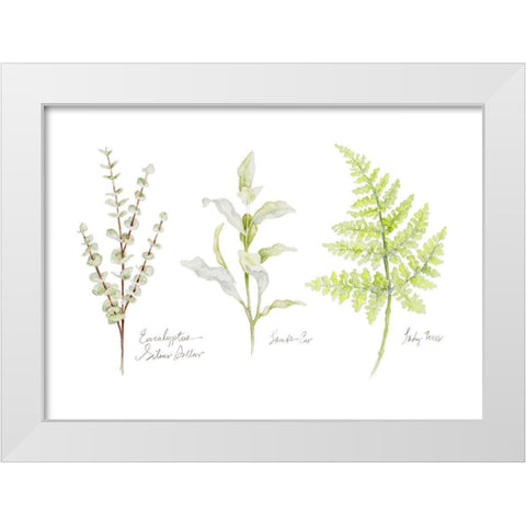 Named Ferns II White Modern Wood Framed Art Print by Gaynor, Janice
