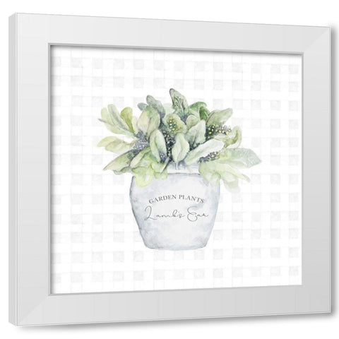 Garden Plants III White Modern Wood Framed Art Print by Gaynor, Janice