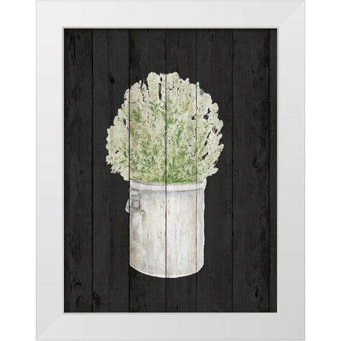 Herbs on Black Wood II White Modern Wood Framed Art Print by Gaynor, Janice