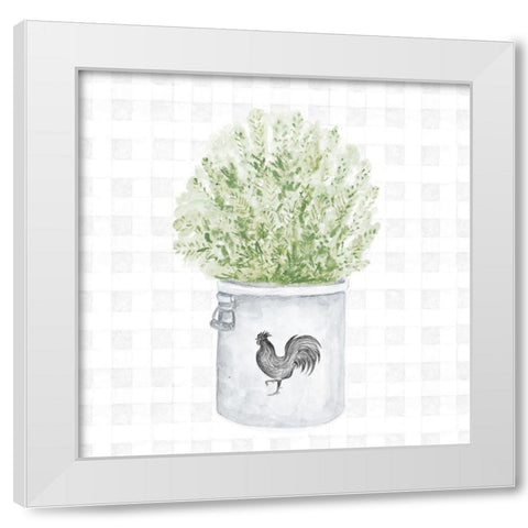 Farm Herbs II White Modern Wood Framed Art Print by Gaynor, Janice