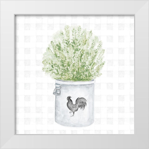 Farm Herbs II White Modern Wood Framed Art Print by Gaynor, Janice