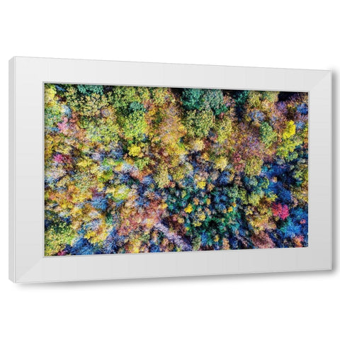 Aerial Fall Trees White Modern Wood Framed Art Print by Veilleux, Jason