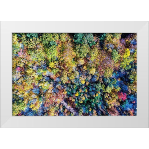 Aerial Fall Trees White Modern Wood Framed Art Print by Veilleux, Jason