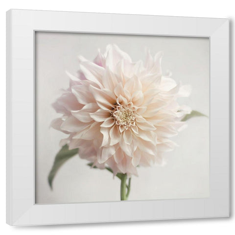 White Bloom From The Garden White Modern Wood Framed Art Print by Jane, Sarah