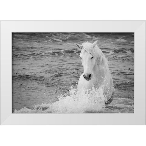 Coastal Horse White Modern Wood Framed Art Print by Walker, Carol
