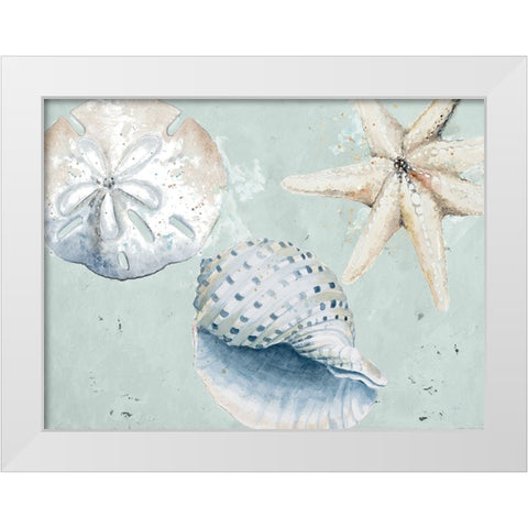 Sea Shells And Starfish White Modern Wood Framed Art Print by Pinto, Patricia