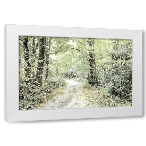 Dappled Path White Modern Wood Framed Art Print by Mansfield, Kathy