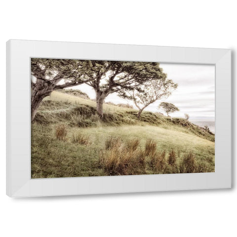 Irish Hillside White Modern Wood Framed Art Print by Amos, Andy