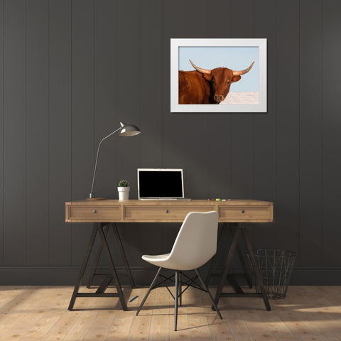 Steer White Modern Wood Framed Art Print by Walker, Carol
