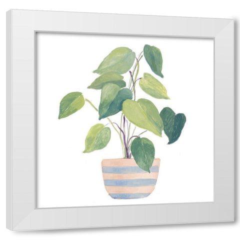 Mother-In-Law Plant In Striped Pot White Modern Wood Framed Art Print by Loreth, Lanie