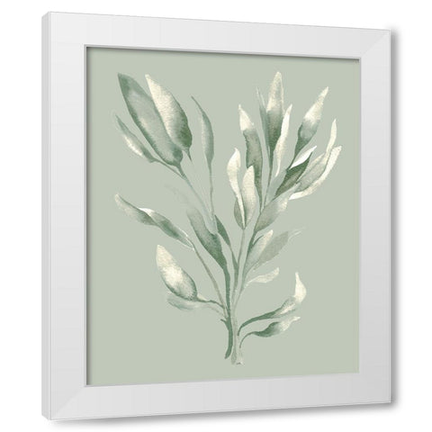 Tonal Green Ferns II White Modern Wood Framed Art Print by Medley, Elizabeth