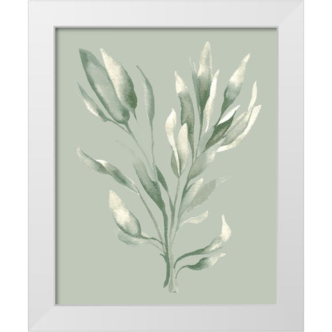 Tonal Green Ferns II White Modern Wood Framed Art Print by Medley, Elizabeth