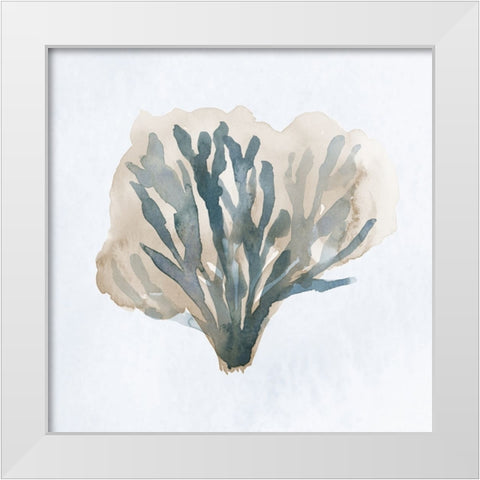 Atlantic Coral I White Modern Wood Framed Art Print by Price, Lucille