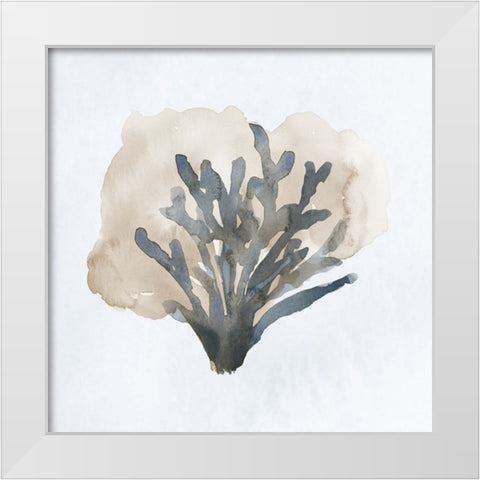 Atlantic Coral II White Modern Wood Framed Art Print by Price, Lucille