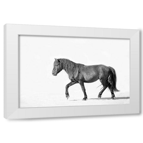 Black Horse White Modern Wood Framed Art Print by Walters, Jan