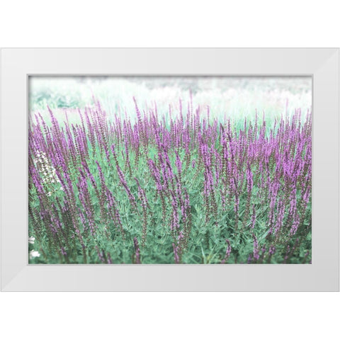 Lavender Garden White Modern Wood Framed Art Print by Meneely, Dan