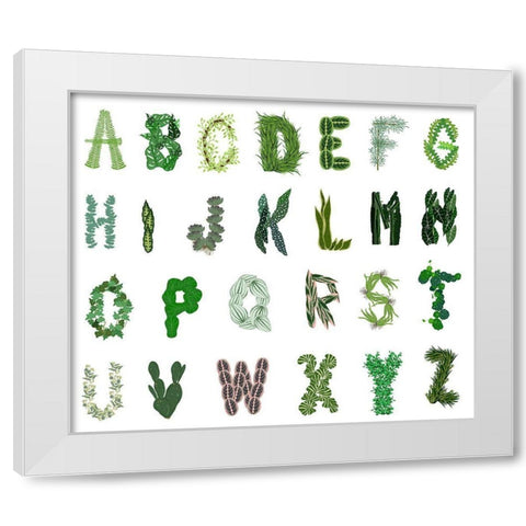 Plant Alphabet White Modern Wood Framed Art Print by Bucheli, Jen