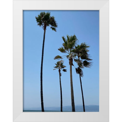 Tall Palms White Modern Wood Framed Art Print by Myers, Amelia