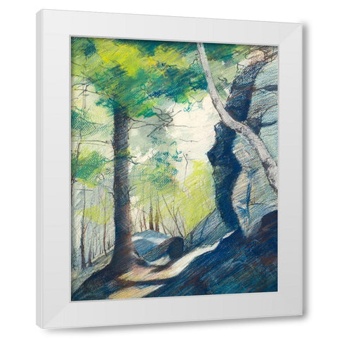 Sunrise In The Woods White Modern Wood Framed Art Print by Nawrocke, Bruce