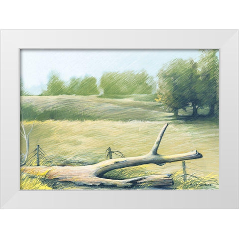 Sunrise In The Field White Modern Wood Framed Art Print by Nawrocke, Bruce