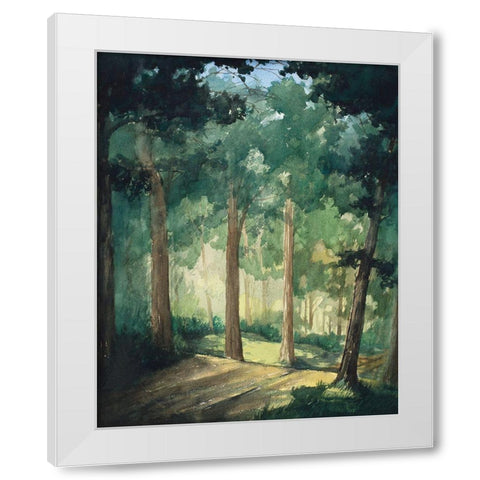 Hike In The Dark Green Woods White Modern Wood Framed Art Print by Nawrocke, Bruce