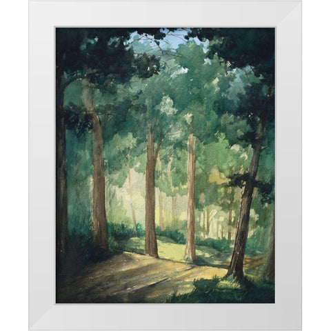 Hike In The Dark Green Woods White Modern Wood Framed Art Print by Nawrocke, Bruce