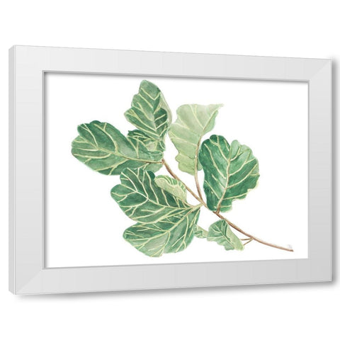 Fiddle Fig Leaf II White Modern Wood Framed Art Print by Pinto, Patricia
