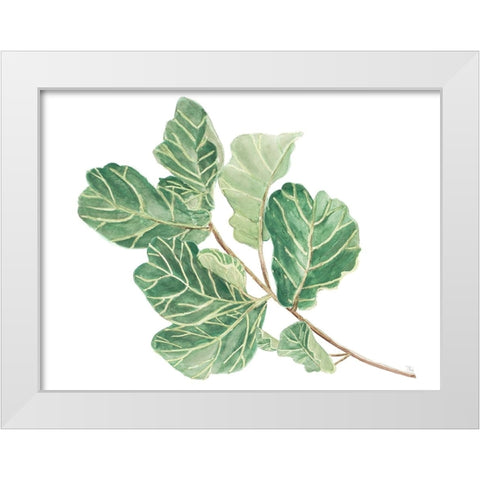 Fiddle Fig Leaf II White Modern Wood Framed Art Print by Pinto, Patricia