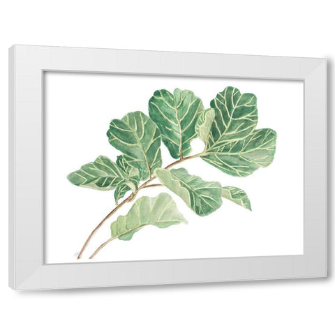 Fiddle Fig Leaf I White Modern Wood Framed Art Print by Pinto, Patricia