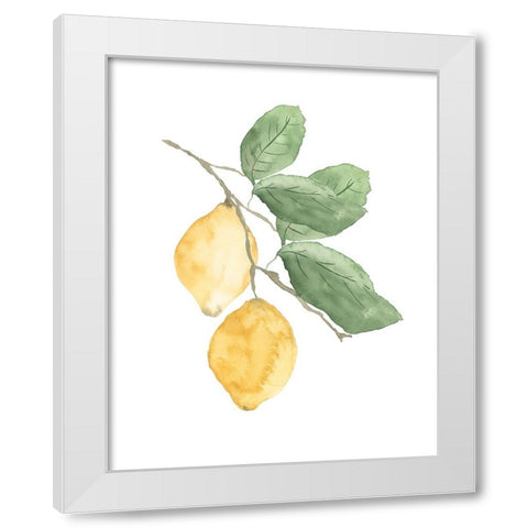 Stem Of Lemons White Modern Wood Framed Art Print by Price, Lucille