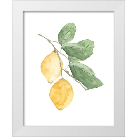 Stem Of Lemons White Modern Wood Framed Art Print by Price, Lucille