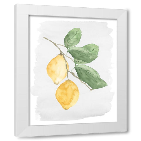 Fresh Lemons White Modern Wood Framed Art Print by Price, Lucille