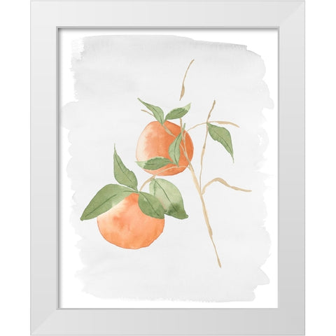 Fresh Oranges White Modern Wood Framed Art Print by Price, Lucille