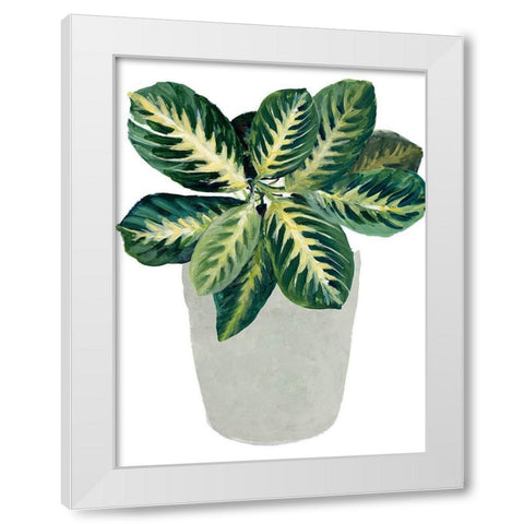 Prayer Plant II White Modern Wood Framed Art Print by Loreth, Lanie
